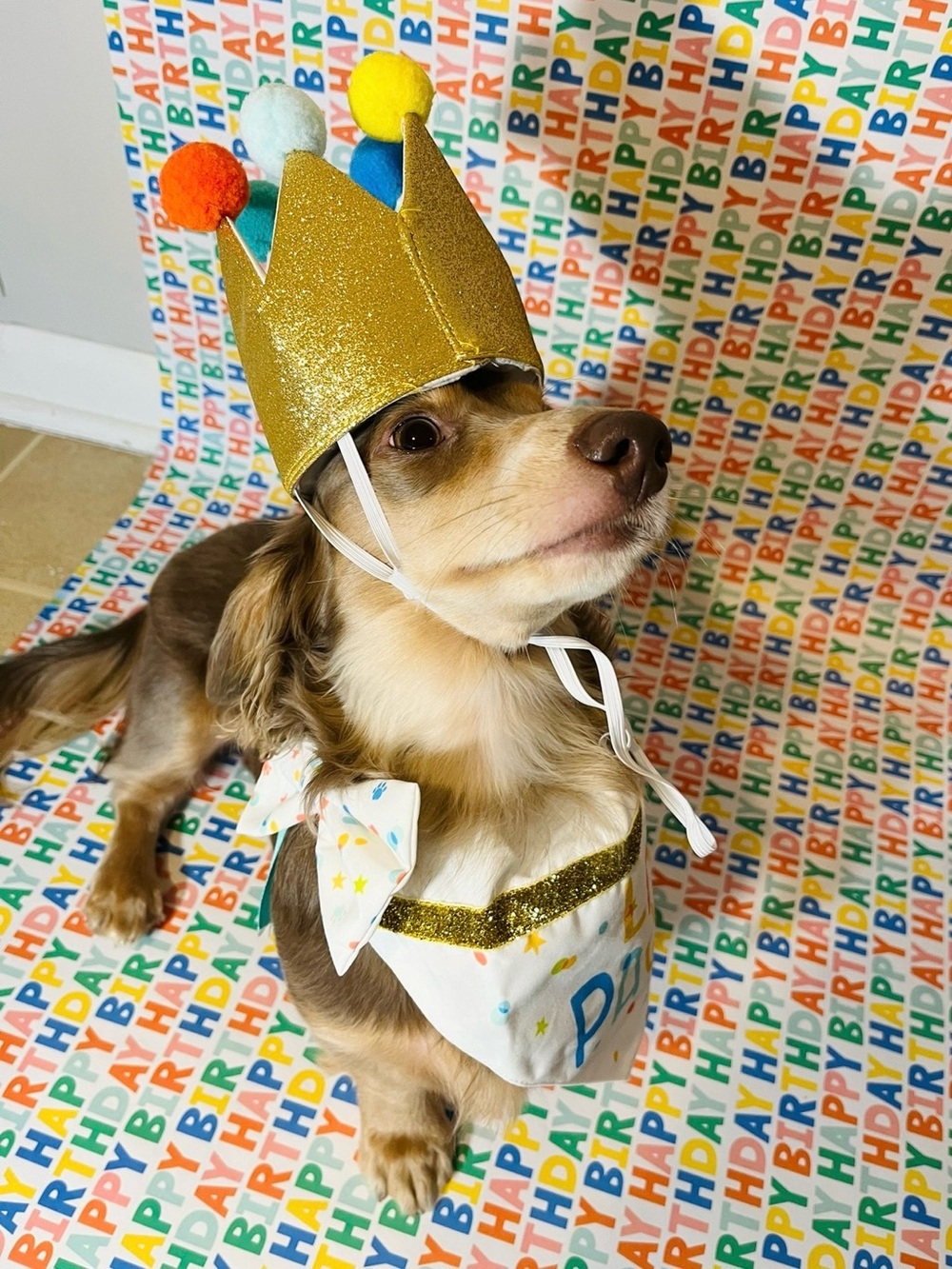 SET‼️Target Gold Glitter Birthday Crown Hat, Bandana, and bow tie